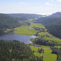 Ökad eller minskad anmäld areal behöver inte betyda att den faktiska avverkningen ökar eller minskar i samma omfattning, påpekar Skogsstyrelsen. Foto: Simon Matthis