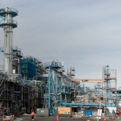 Målet är att producera 180 000 ton per år av förnybart flygbränsle och förnybar diesel. Foto: SCA