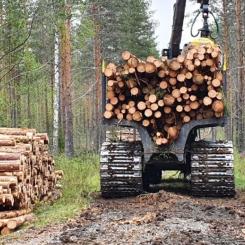 Skogsverkning i Finland, symbolbild. Foto: Metsätyö