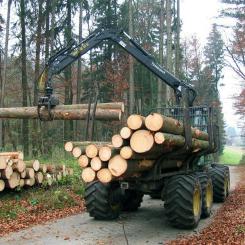 Avverkningsverksamhet. Symbolbild. Foto: Waldwissen