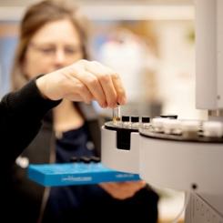 Tre universitet och tolv företag har startat ett kompetenscenter, BioGlue-Centre, för att påskynda utvecklingen av biobaserat lim. Foto: Södra