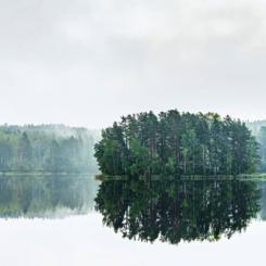Stora Enso meddelar att de åtar sig att uppnå nettonollutsläpp av koldioxid år 2040 genom att underteckna The Climate Pledge. Foto: Stora Enso