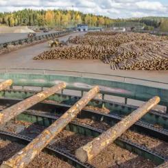 Sågverksverksamheten startade i Korkeakoski år 1960. Såglinjen har moderniserats helt och hållet, och produktionskapaciteten på linjen är hög. År 2013 byggdes ett eget biokraftvärmeverk i anslutning till sågverket. Den senaste förnyelsen är en värmepump år 2023. Foto: UPM Timber