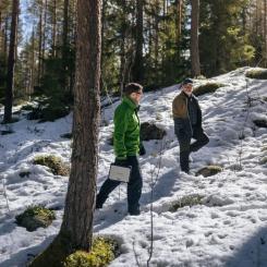 UPM:s egna skogar ska fungera som forskningsområden och pilotplatser, vilket gör det möjligt att snabbt testa resultaten i praktiskt skogsbruk. Projektet startar våren 2026 och löper över fyra år. Foto: UPM