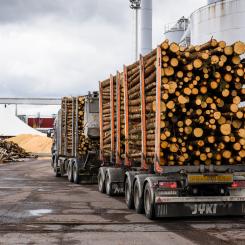 Foto: Tommi Kähärä/Stora Enso