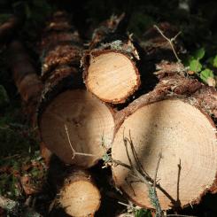 Foto: Valmet